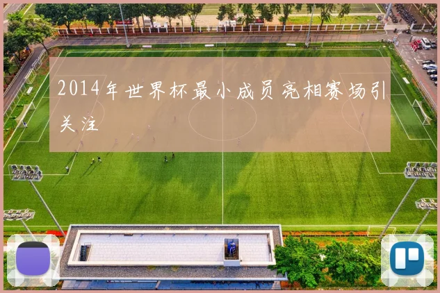 2014年世界杯最小成员亮相赛场引关注
