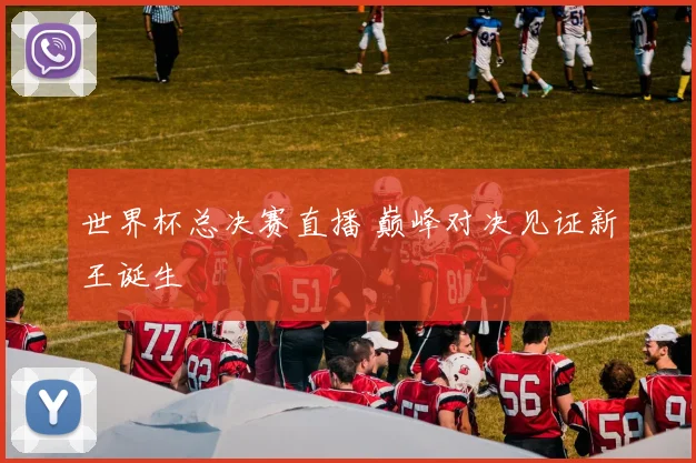 世界杯总决赛直播 巅峰对决见证新王诞生