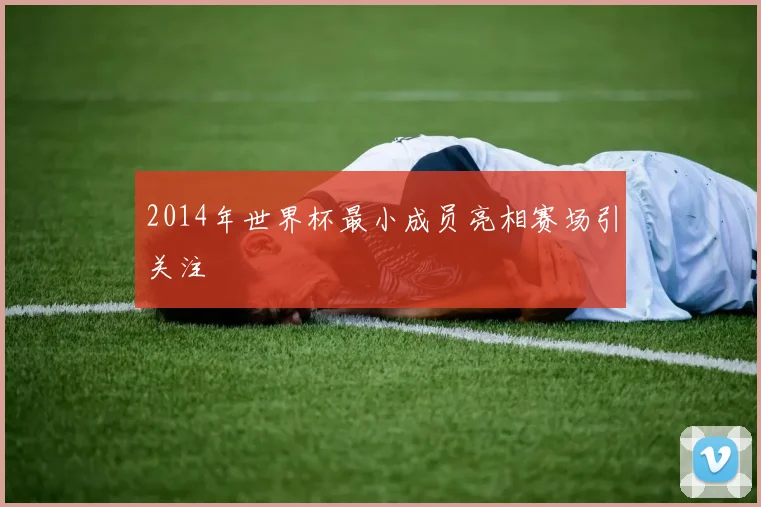 2014年世界杯最小成员亮相赛场引关注