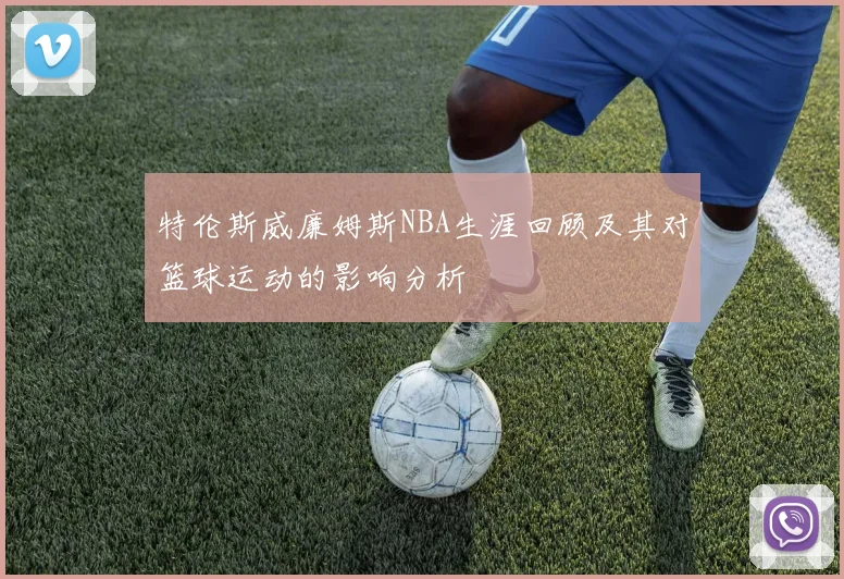 特伦斯威廉姆斯NBA生涯回顾及其对篮球运动的影响分析