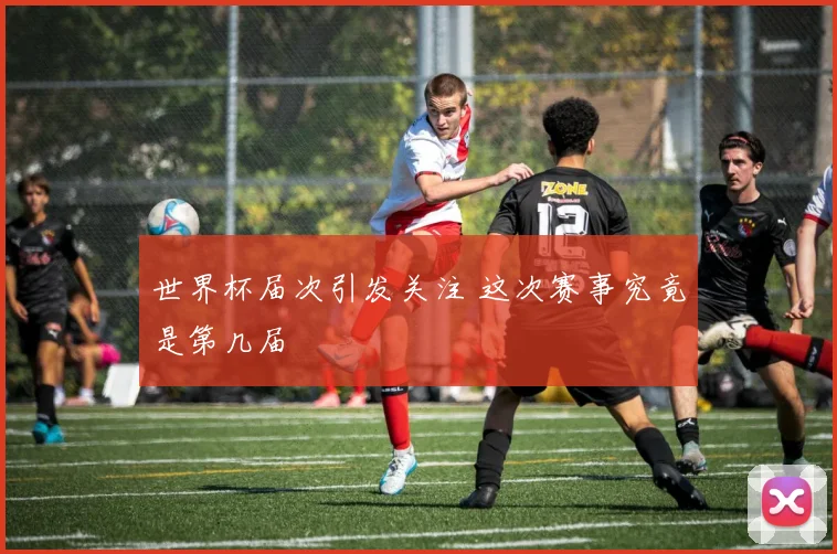 世界杯届次引发关注 这次赛事究竟是第几届