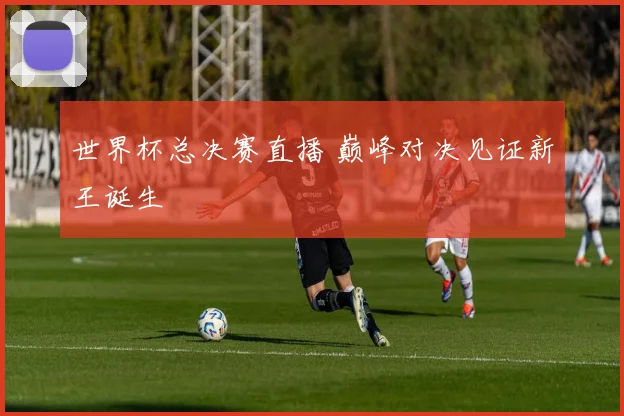 世界杯总决赛直播 巅峰对决见证新王诞生