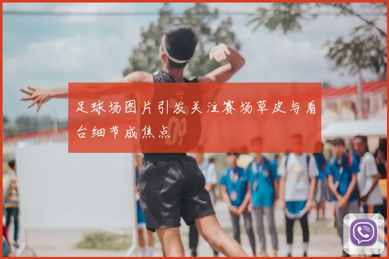 足球场图片引发关注赛场草皮与看台细节成焦点