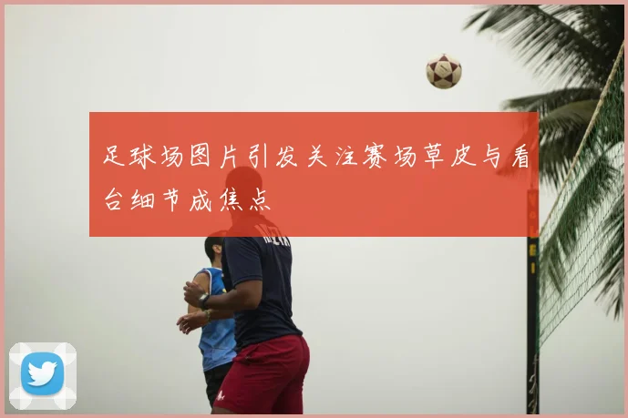 足球场图片引发关注赛场草皮与看台细节成焦点