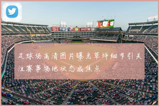 足球场高清图片曝光草坪细节引关注赛事场地状态成焦点