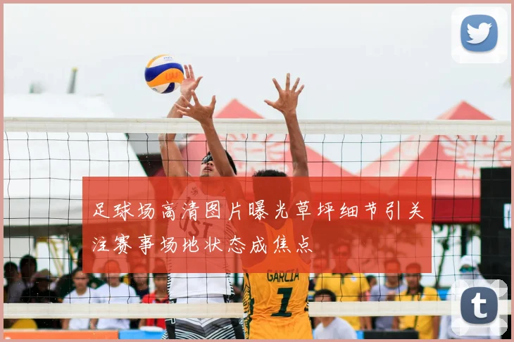 足球场高清图片曝光草坪细节引关注赛事场地状态成焦点