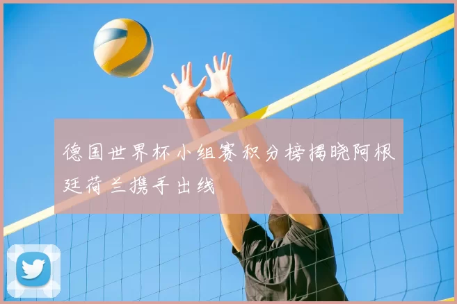 德国世界杯小组赛积分榜揭晓阿根廷荷兰携手出线